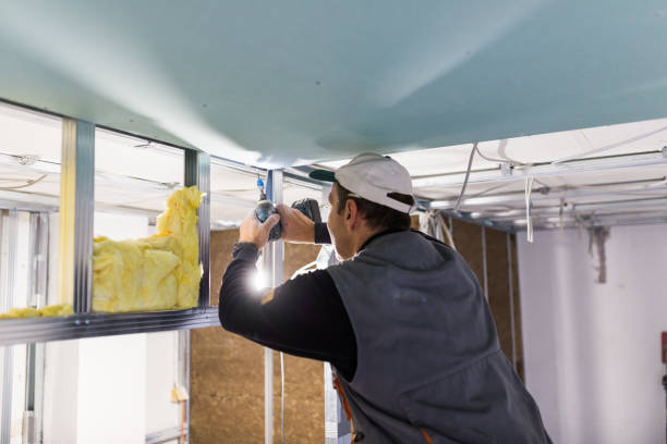 Best Attic Insulation Near Me  in Windsor, MO