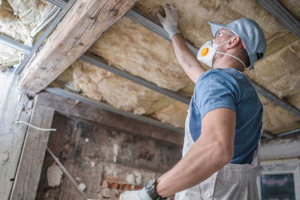 Best Attic Insulation Installation  in Windsor, MO
