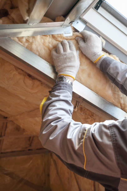 Best Residential Insulation Services  in Windsor, MO