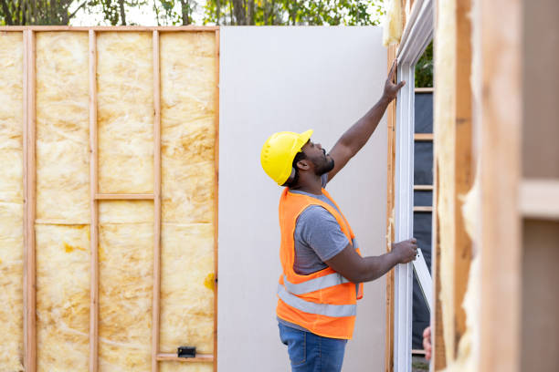 Best Home Insulation Services  in Windsor, MO