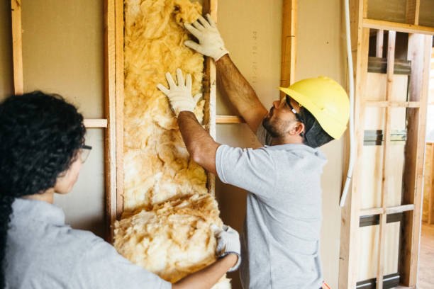Best Best Insulation Companies  in Windsor, MO