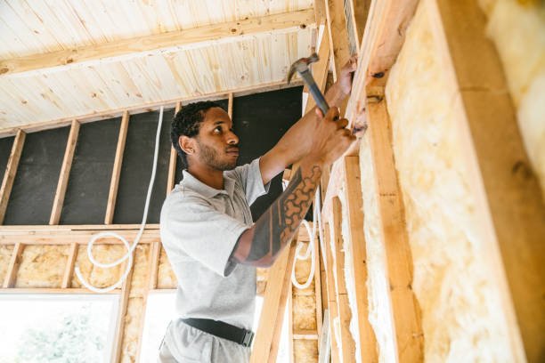 Best Local Insulation Services  in Windsor, MO