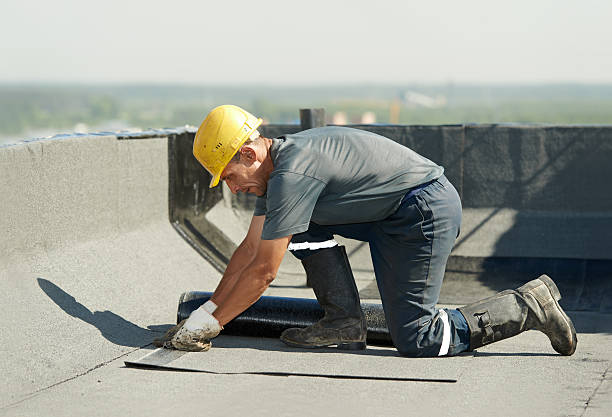 Best Commercial Insulation Contractor  in Windsor, MO