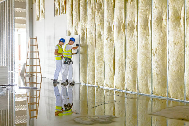 Best Insulation Contractors for Homes  in Windsor, MO
